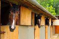 free Ivy Hatch stable construction quotes